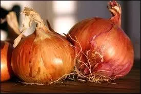 L'oignon est un légume. C'est aussi...