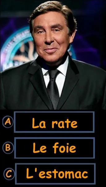 Quel est le plus gros organe à l'intérieur du corps humain ?