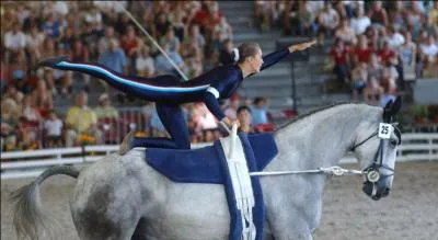 Quelle est cette discipline ?