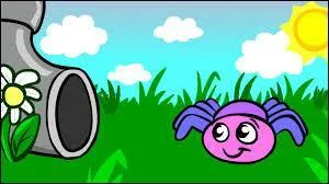 Comment l'araignée des comptines enfantines s'appelle-t-elle ?