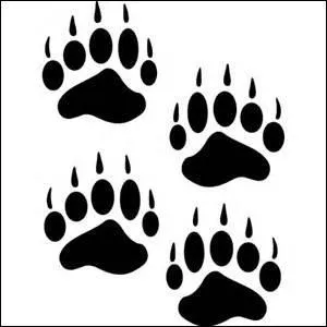 Combien l'ours a-t-il de griffes ?
