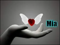 Combien y a-t-il de fautes ? - Je m'appelle Mia, j'ai 57 ans, et je suis portteuse d'une trè grande sagesses...