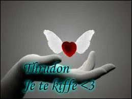 Combien y a-t-il de fautes ? - Je suis Adrien, et j'adore Yoshi J'ai 16 Ans, je suis en Seconde dans un licée en Franche-Comté !