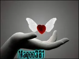 Combien y a-t-il de fautes ? - Je suis Magoo, et je suis anormal, je le reconnet. J'adore le Canada, "Doctor Who" et une certain Chloé !