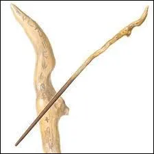 A qui appartient cette baguette ?