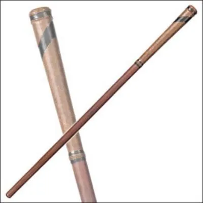 A qui appartient cette baguette ?