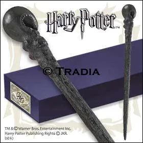 A qui appartient cette baguette ?