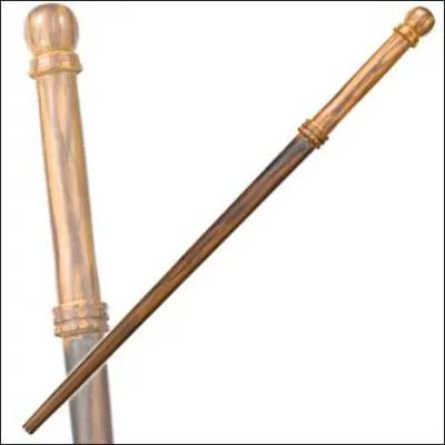 A qui appartient cette baguette ?