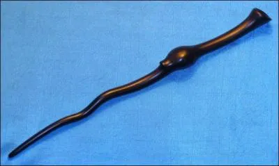 Sa baguette est faite de bois de châtaignier et d'un ventricule de coeur de dragon.
A qui appartient cette baguette ?