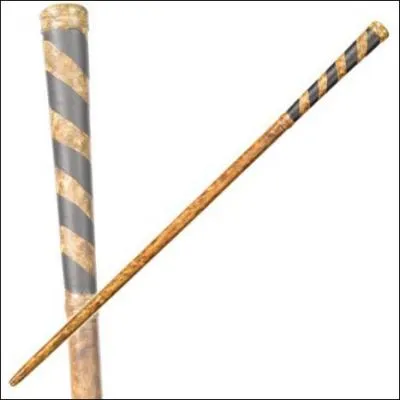 A qui appartient cette baguette ?