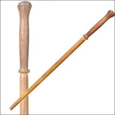 A qui appartient cette baguette ?