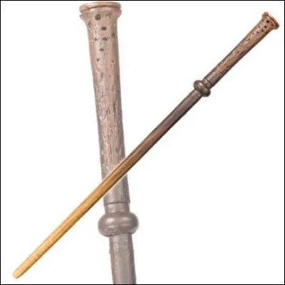 A qui appartient cette baguette ?