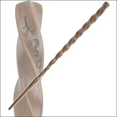 A qui appartient cette baguette ?