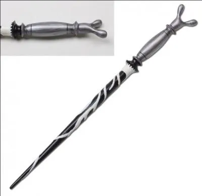 Cette baguette est en bois de cèdre, contient un ventricule de cur de dragon. Elle est flexible et mesure 26, 03 centimètres.
A qui appartient cette baguette ?