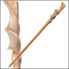 A qui appartient cette baguette ?