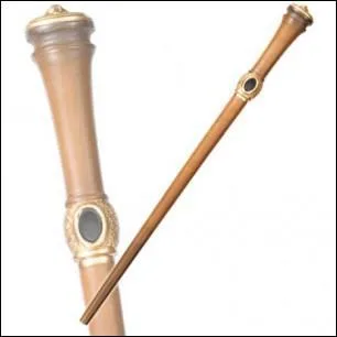 A qui appartient cette baguette ?