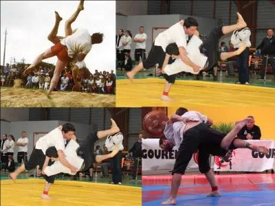 Voici un po&egrave;me qui est le serment que les combattants prononcent avant les matches : &laquo; Je jure de lutter en toute loyaut&eacute;Sans tra&icirc;trise et sans brutalit&eacute;Pour mon honneur et celui de mon paysEn t&eacute;moignage de ma sinc&eacute;rit&eacute;Et pour suivre la coutume de mes anc&ecirc;tresJe tends &agrave; mon adversaire ma main et ma joue &raquo;.Quel est ce sport ?