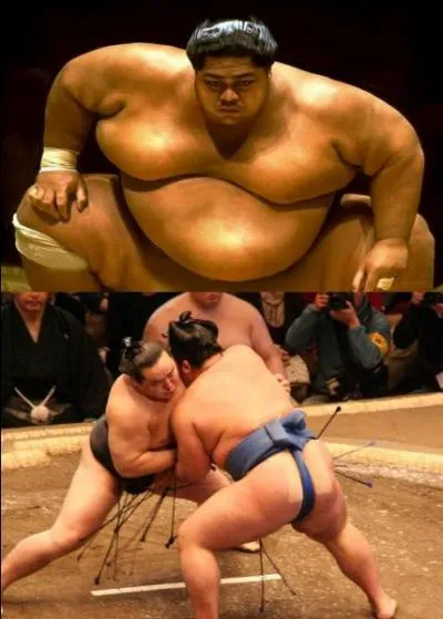 Si vous pesez moins de 100 kg, restez spectateur, il vaut mieux peser 120 ou 130 kg pour le pratiquer. Le plus lourd pesait 271 kg ! En plus, votre tenue se limite &agrave; une simple corde (de 9 m &agrave; 14 m) plac&eacute;e autour de votre ceinture et entre votre entrejambe. Pour le combat, il vous suffira de faire sortir votre adversaire du cercle sacr&eacute; ! Quel est ce sport.