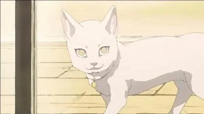 Ce chat blanc se nomme :