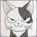 Ce petit chat à la bouille espiègle s'appelle :