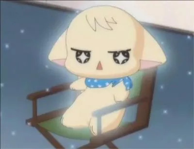 Ce chat au regard scintillant se nomme :