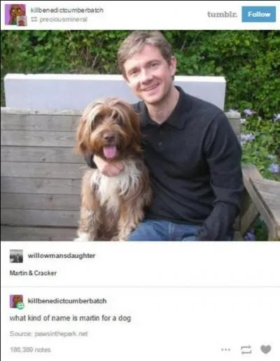 Associez un personnage de fiction à celui de la photo !