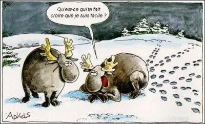 De ces trois personnalités, laquelle nous conte les merveilleuses aventures d'une chanteuse québécoise et d'un mignon petit caribou, très gâté par la nature ?