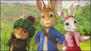 Dans "Pierre Lapin", comment s'appellent les cousins de Pierre ?