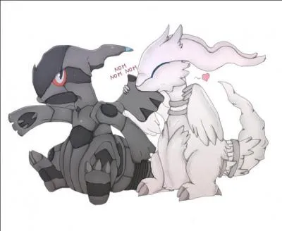 Reshiram et Zekrom sont caractérisés par :