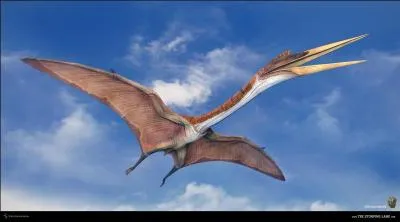 Quelle était la taille approximative du quetzalcoatlus ?