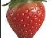 Quiz Pikmin 3 : les fruits