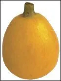 Quel est ce fruit ?