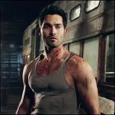 Qui sont les 3 membres de la meute de Derek ?