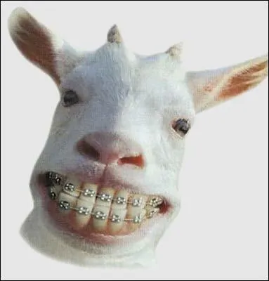 Quand la chèvre est un objet, dans quel corps de métier peut-elle être utile ?