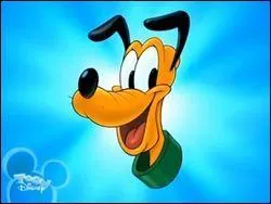 Comment s'appelle le plus fidèle compagnon canin de Mickey ?