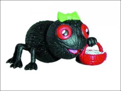 Quelle est cette petite araignée noire et velue, drôle de petite bête, qui possède un nud papillon vert sur la tête ?