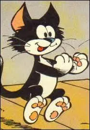 Comment s'appelle ce chat ?