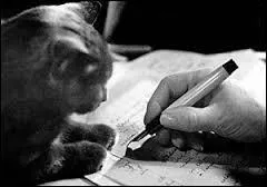 A quel écrivain appartient le chat "Poum" ?