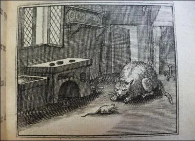 Dans la fable de La Fontaine, "Le vieux chat et la jeune souris", quel est le nom du chat ?
