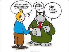 Dites-moi donc à qui appartient ce chat ?