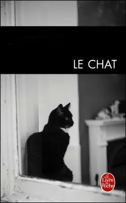 De quel roman s'est inspiré Pierre Granier-Deferre pour réaliser son film "Le chat" ?