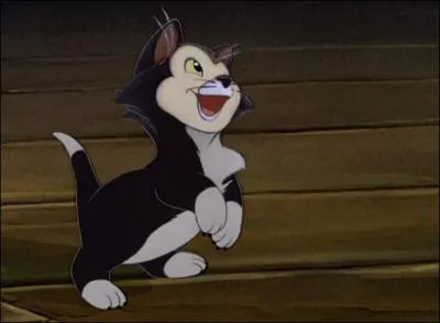 Et enfin, quel est le nom de ce chat ?