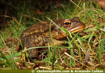 Sur cette photo, j'identifie...