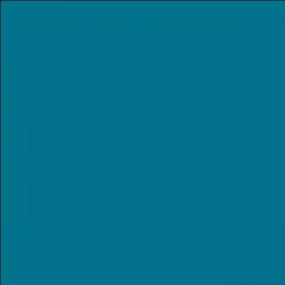 A quel chanteur vous renvoie cette photo ?