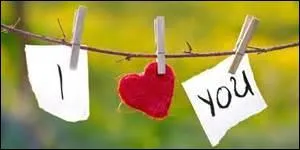 Quel verbe correspond à l'expression de tous ces sentiments que laisse supposer l'illustration ?