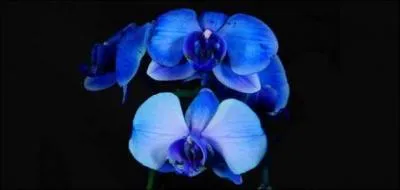 Si vous trouvez ce mot, vous en ferez toute une montagne !