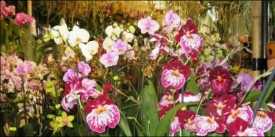 Si vous ne trouvez pas ce mot, c'est que vous êtes tombés sur un bec, évitez de pousser des cris, ça arrive à tout le monde !