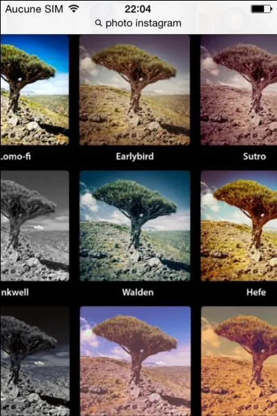 Combien peut-on mettre de publications sur Instagram ?