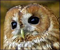 Que repr&eacute;sente cette photo ?