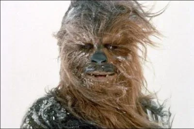 Qui est ce wookie ?